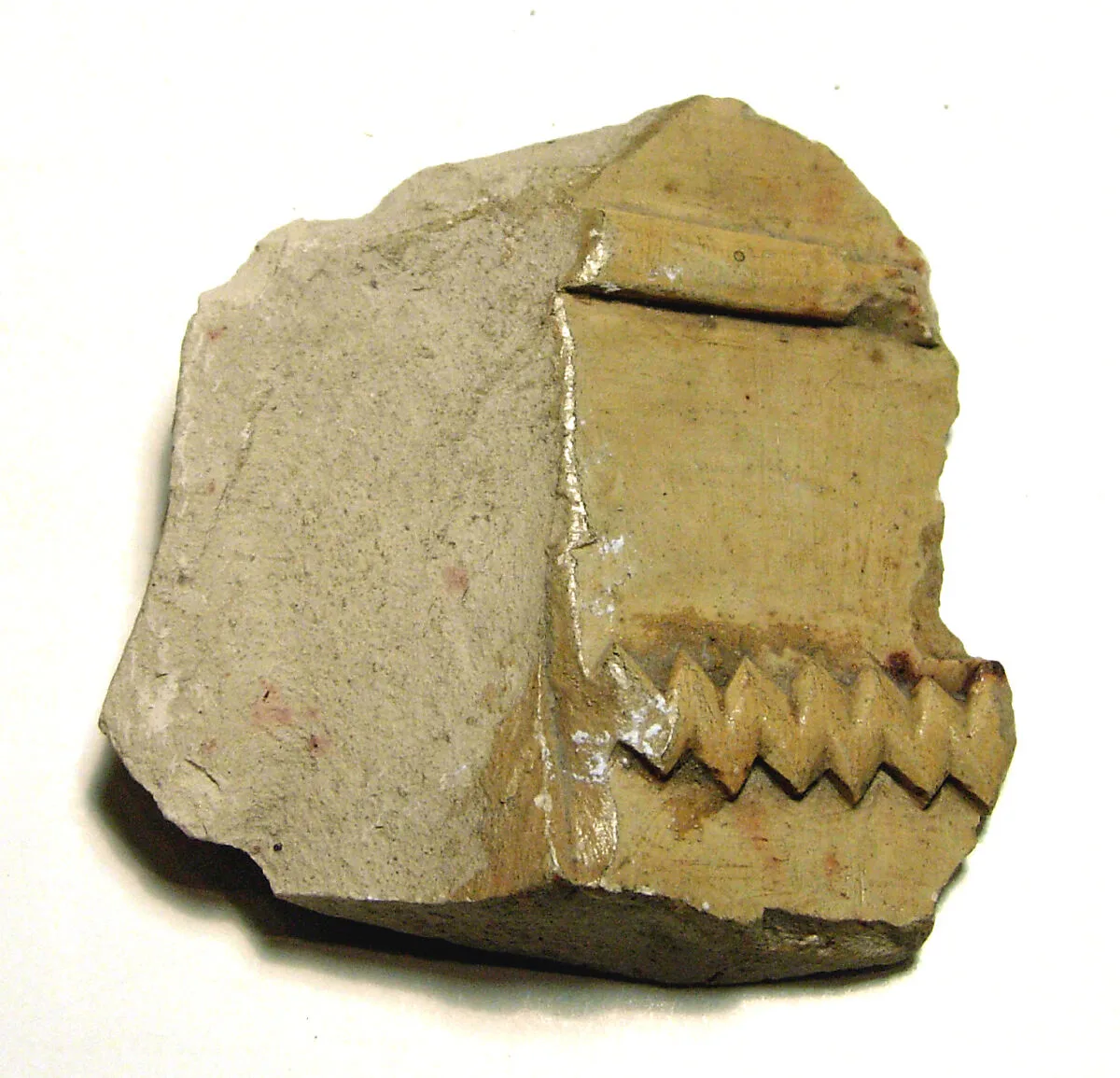 Raised relief fragment — Unknown