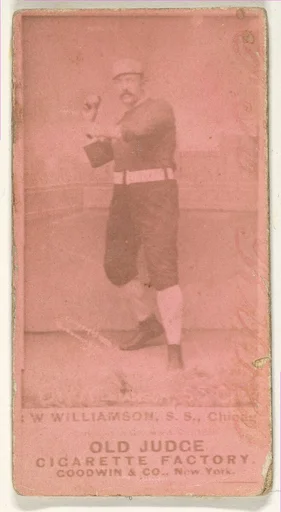 W Williamson, Shortstop, Chicago, from the Old Judge series (N172) for Old Judge Cigarettes