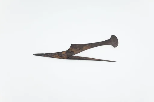 Tweezer-razor from the Burial of Amenemhat
