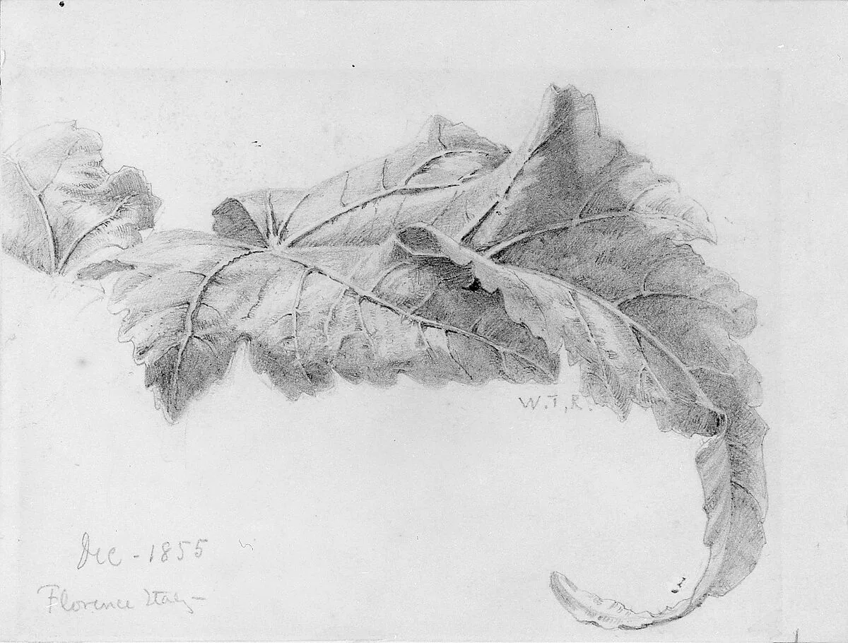 Leaves — William Trost Richards