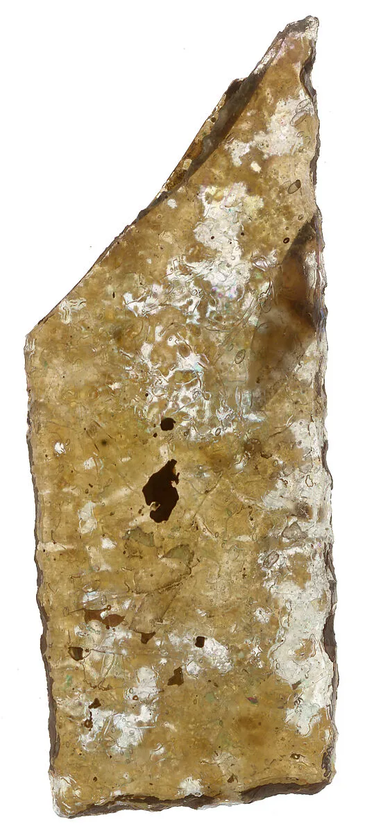 Fragment — Unknown