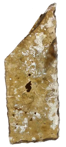 Fragment