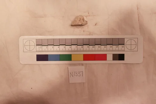 Stucco Fragment