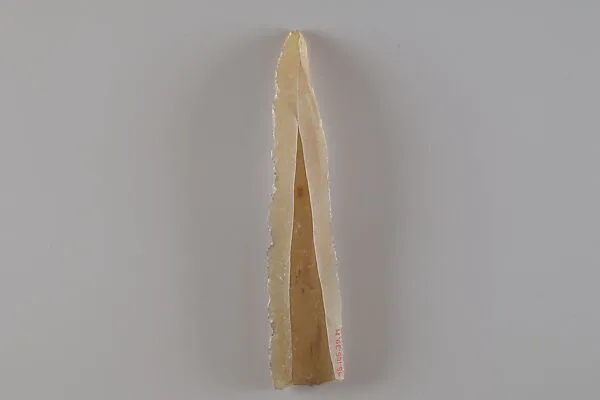 Sickle Insert — Unknown