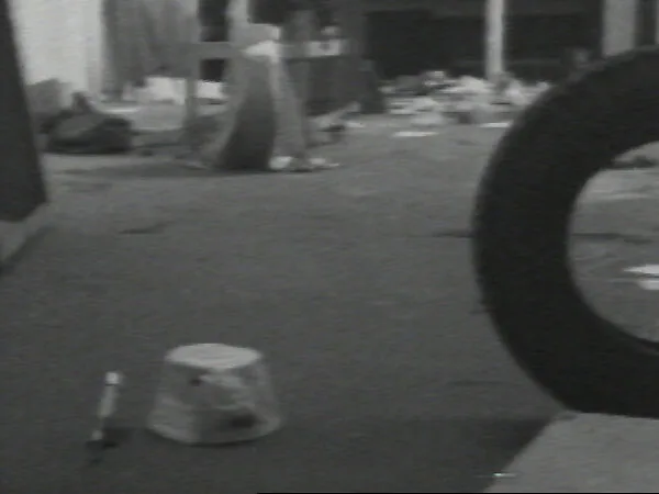 Studio Work — William Wegman
