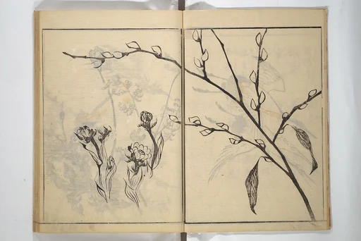 山口素絢画  『素絢画譜 草花之部』|Soken Picture Album: The Plant Section (Soken gafu: Sōka no bu)  素絢画譜 草花之部