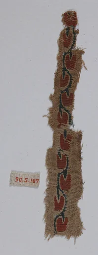 Textile Fragment
