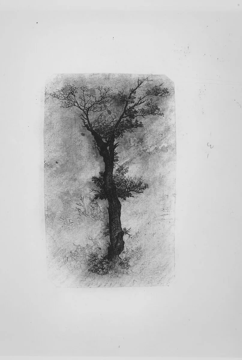 Étude d'un Arbre (Study of a Tree) — Rodolphe Bresdin