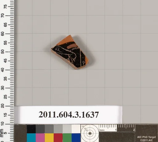 Terracotta fragment of a kylix: Band cup (drinking cup)