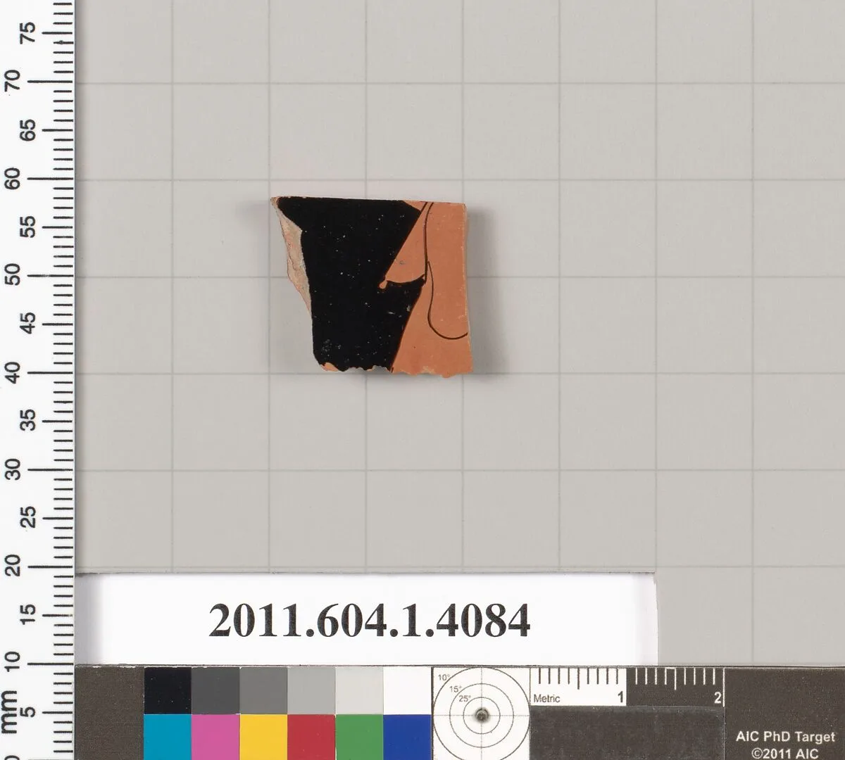 Terracotta fragment of a kylix (drinking cup) — Unknown