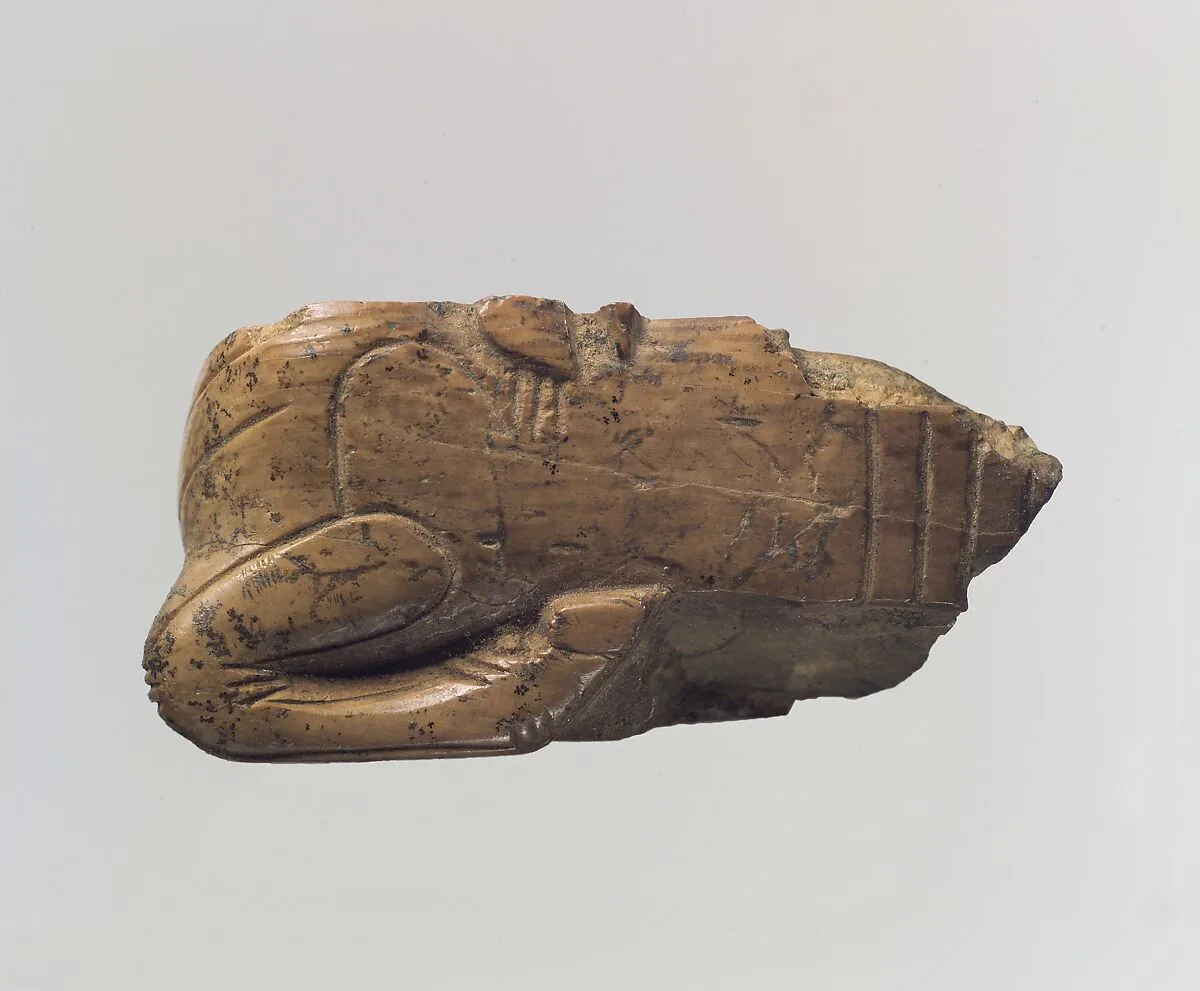 Pyxis fragment — Unknown