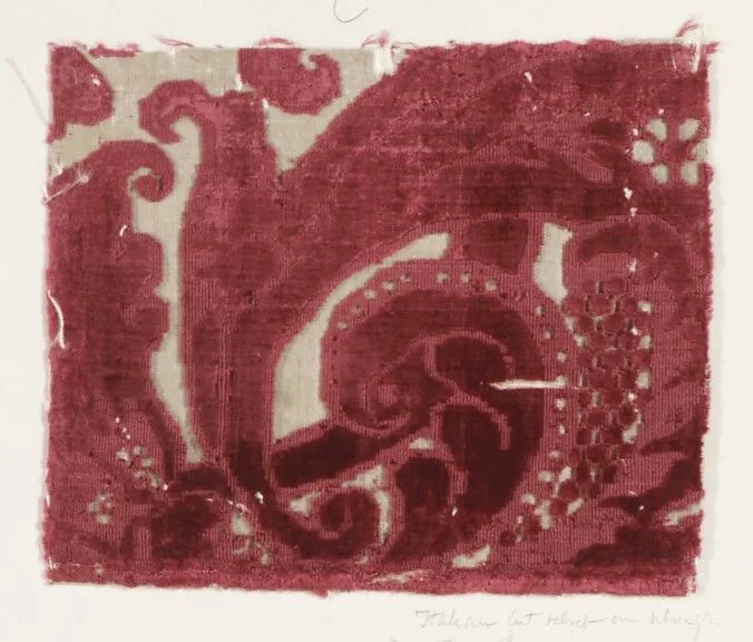 Fragment — Unknown