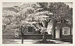 Spring in Delaware — Stow Wengenroth