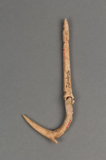 釣針|Fish hook