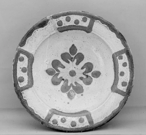 Dish