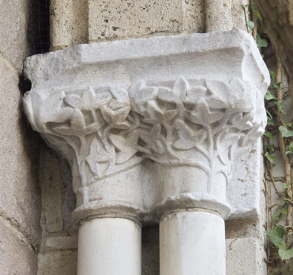 Double Capital — Unknown