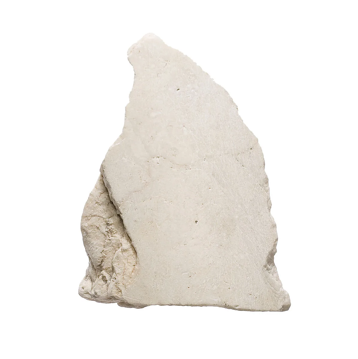 Limb (?) — Unknown