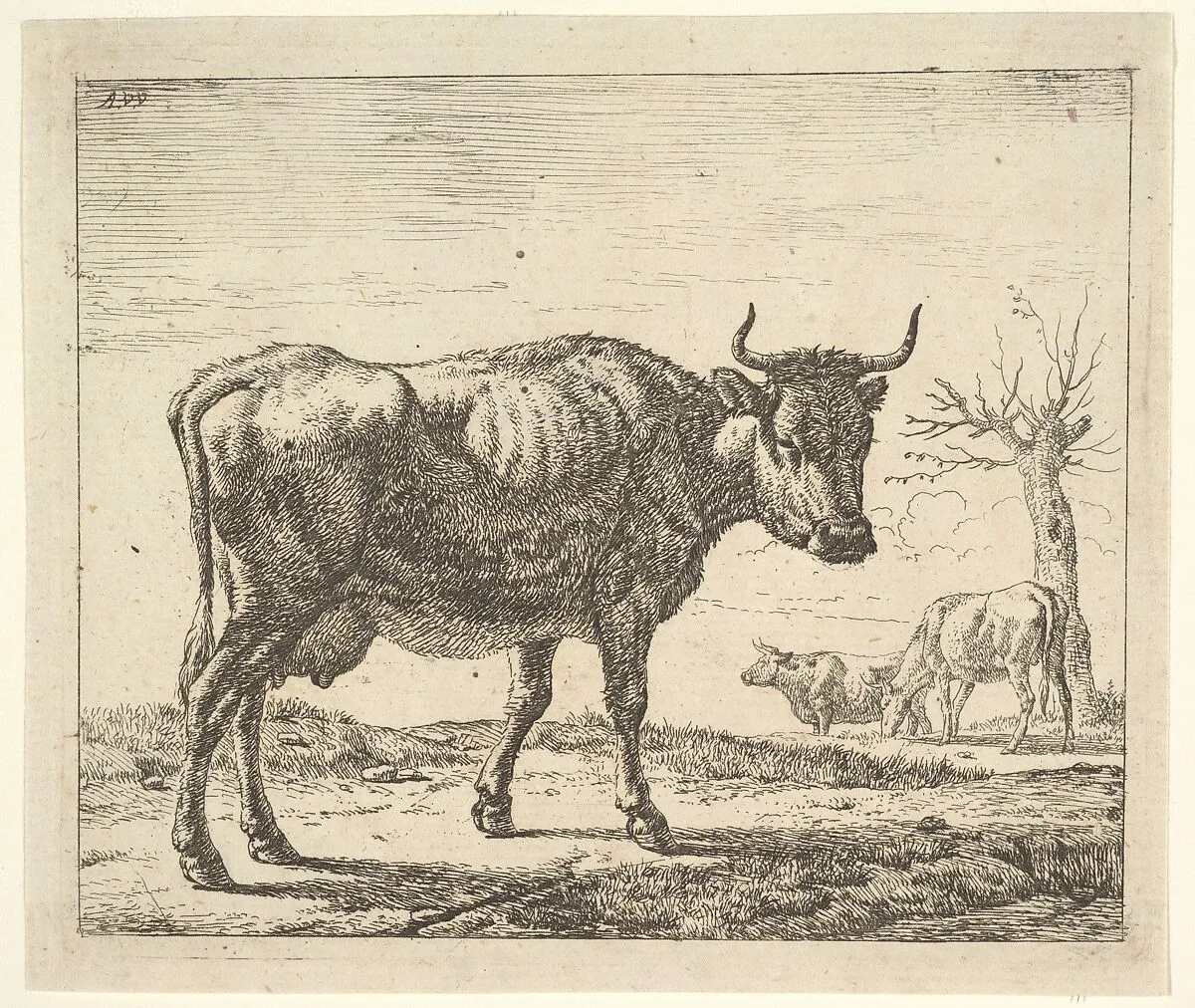 Three Cows, from Different Animals — Adriaen van de Velde