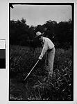 [Walker Evans in Field with Hoe, Darien, Connecticut]