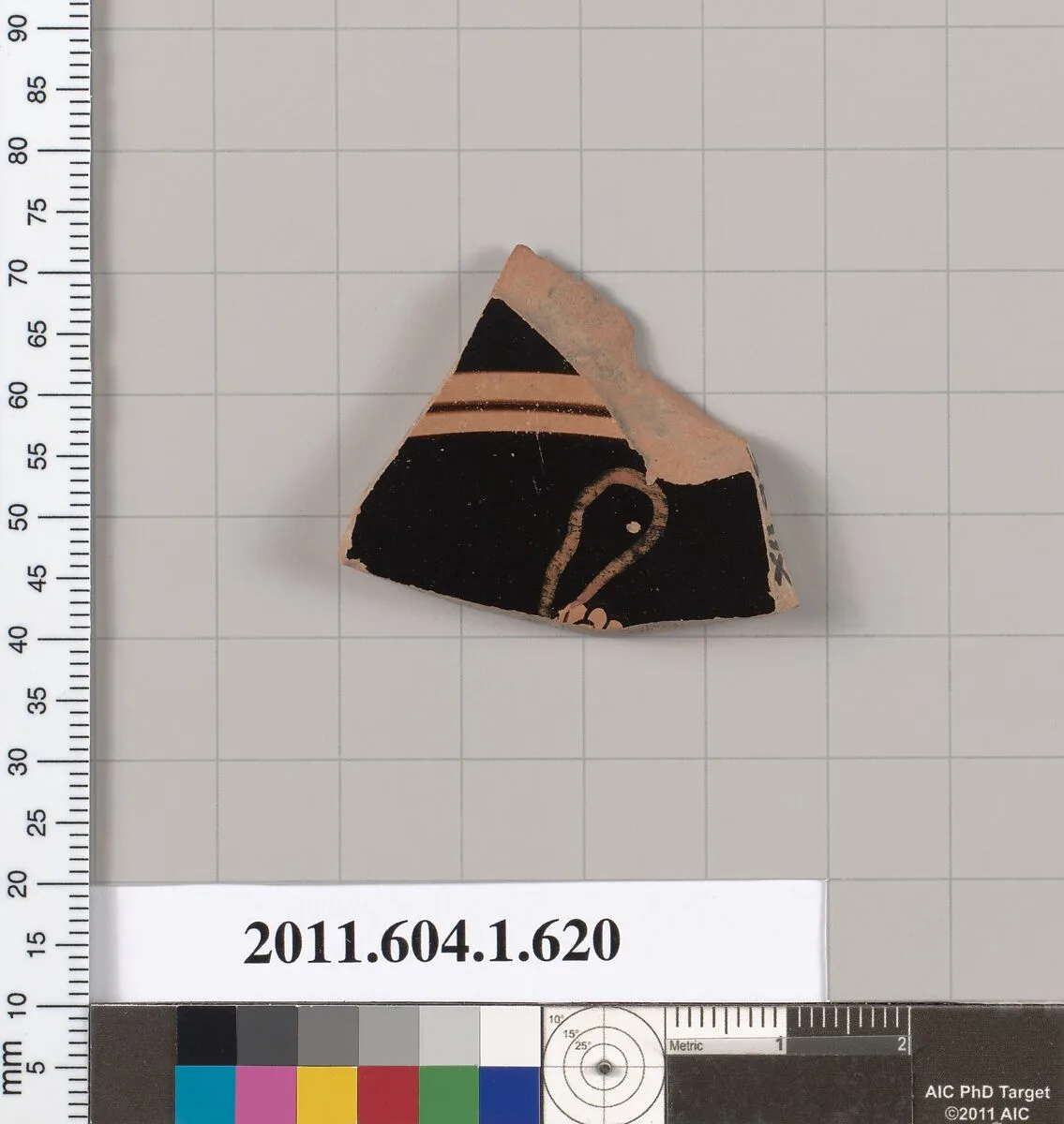 Terracotta fragment of a kylix (drinking cup) — Unknown