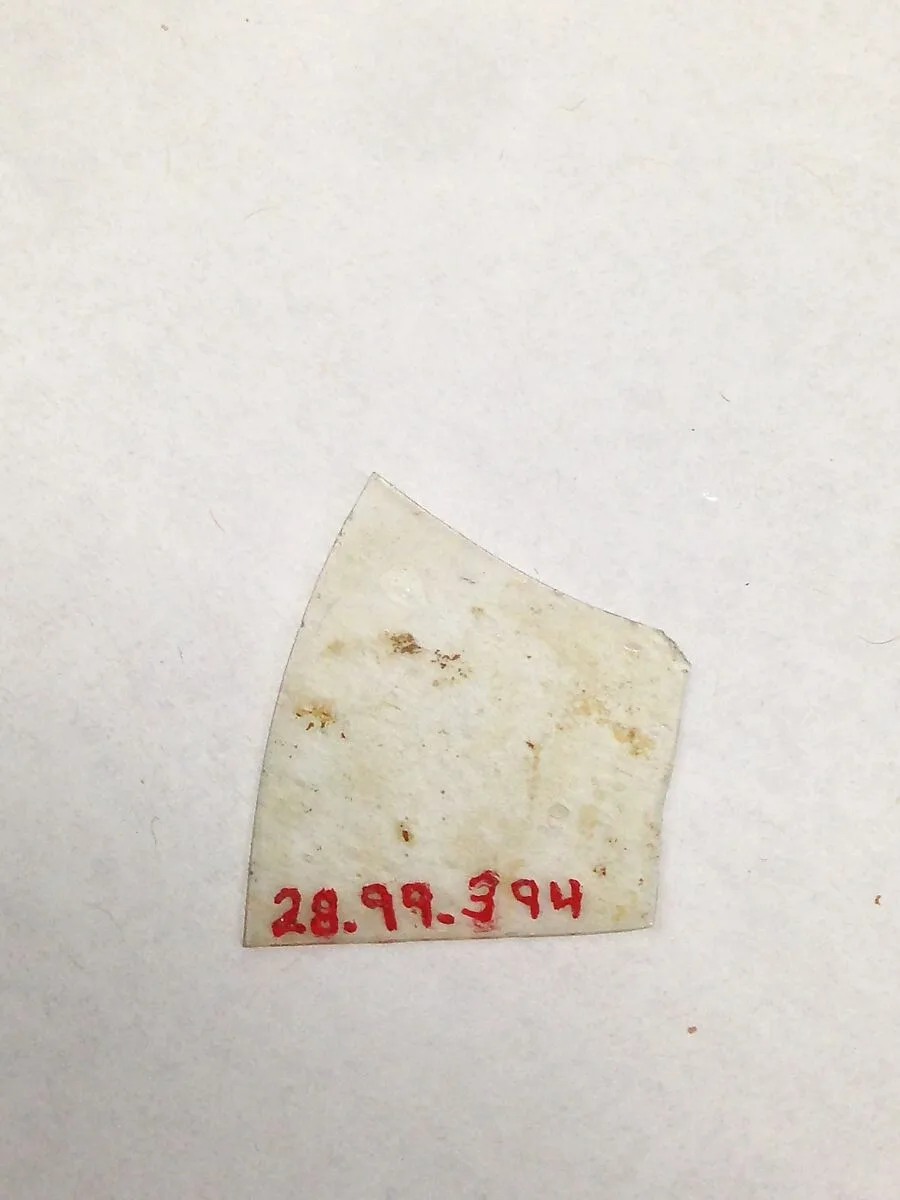 Fragment — Unknown