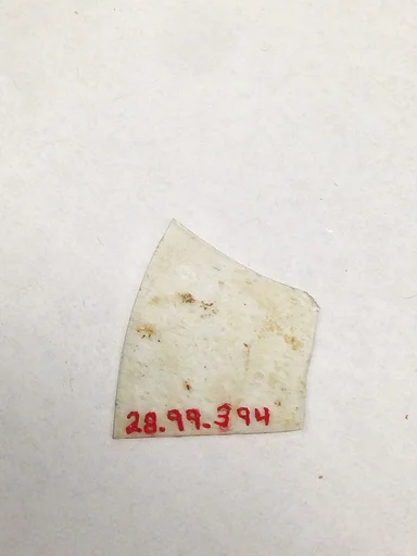 Fragment