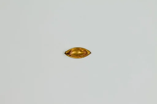 Cover for eye or belly button