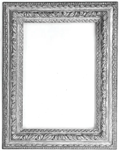Astragal frame