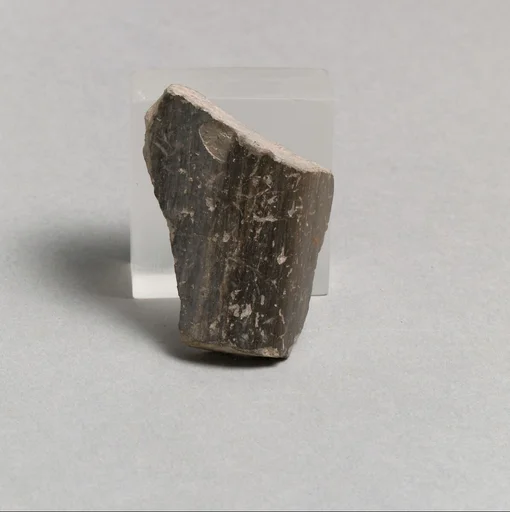 Vase fragment