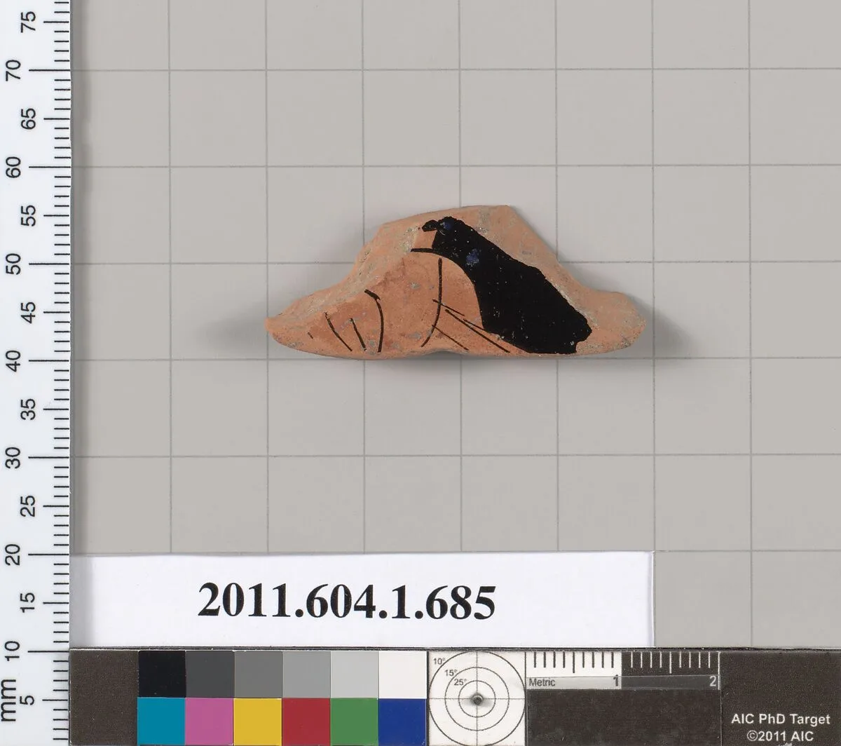Terracotta fragment of a kylix (drinking cup) — Unknown