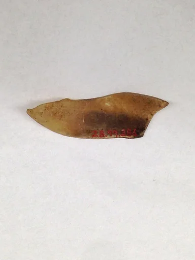 Fragment