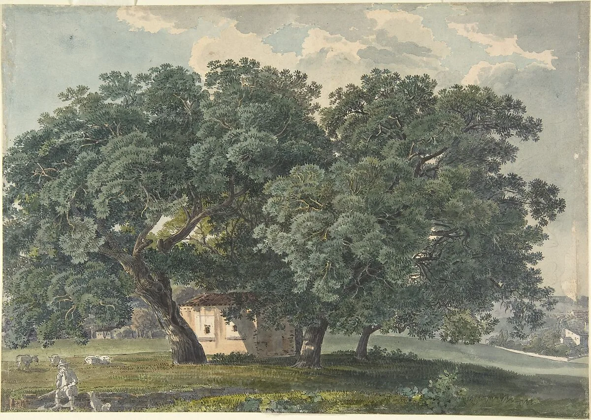 Italian Landscape with Trees (recto) — Friedrich Salathé