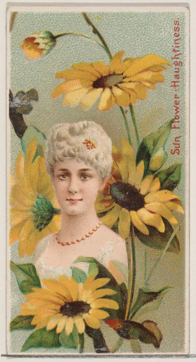 Sunflower: Haughtiness, from the series Floral Beauties and Language of Flowers (N75) for Duke brand cigarettes — Donaldson Brothers|American Tobacco Company