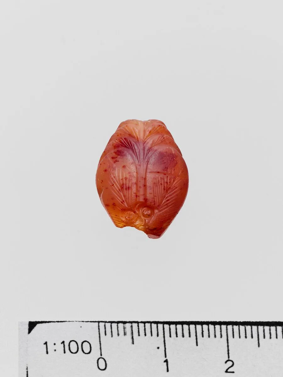 Carnelian amygdaloid seal — Unknown