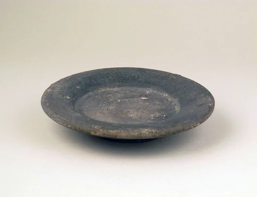 Dish
