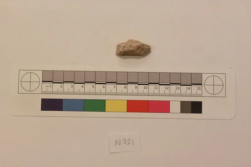 Stucco Fragment