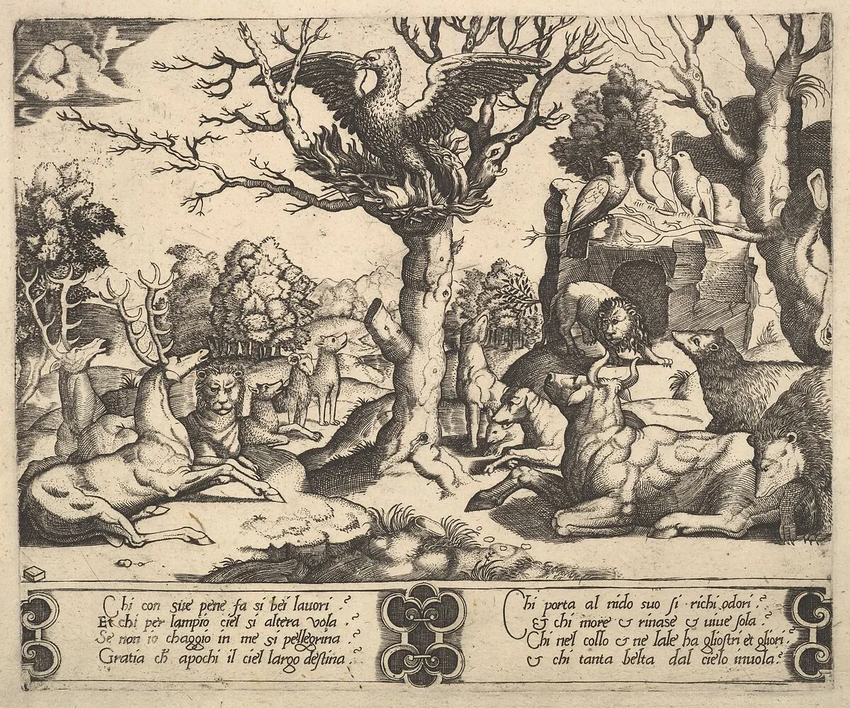 A phoenix sat atop a tree, wings open, an assortment of animals below — Raphael (Raffaello Sanzio or Santi)|Master of the Die