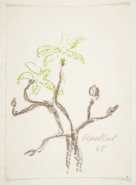38. Jahresblatt I: Zweig — Erich Heckel