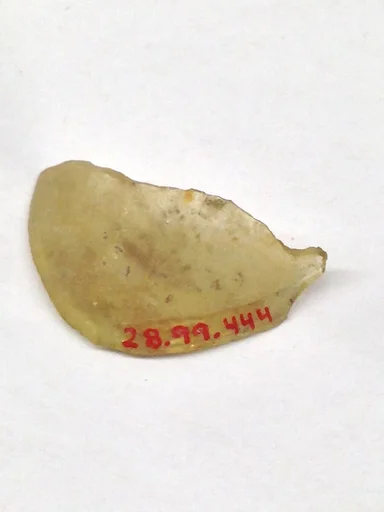 Fragment