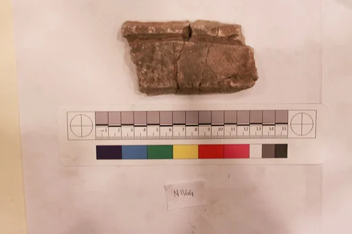 Stucco Fragment