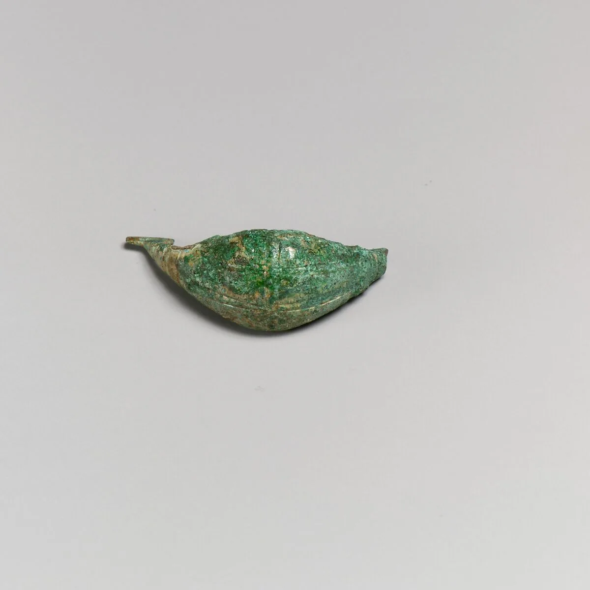 Fibula — Unknown