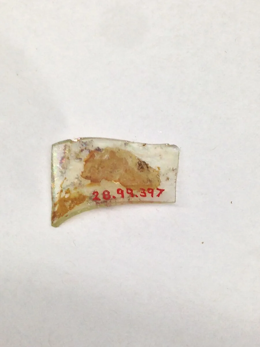Fragment — Unknown