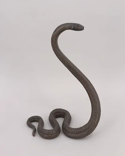 Cobra