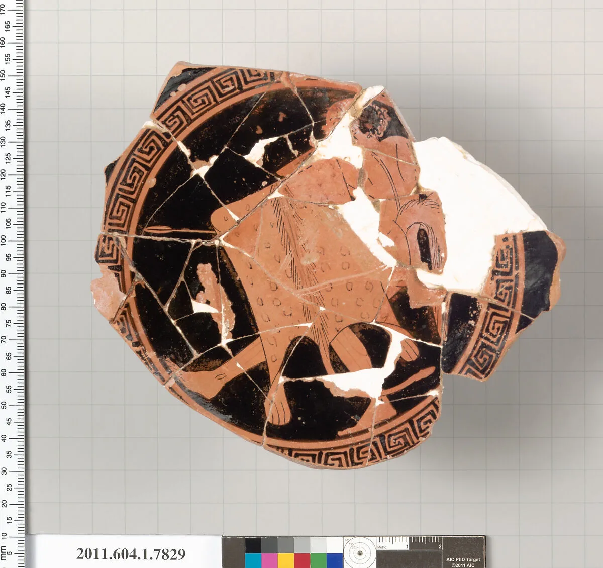 Terracotta fragment of a kylix (drinking cup) — Unknown
