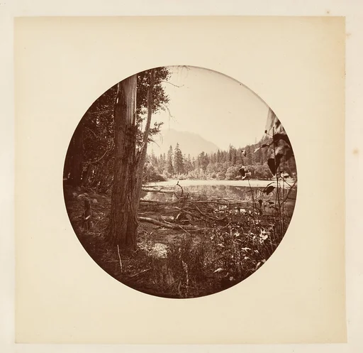 [Yosemite National Park, California]