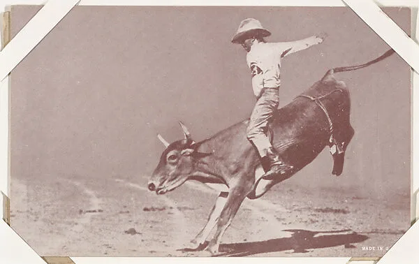 Cowboy riding bucking bull from Indians and Western Historical Scenes series (W417) — Unknown