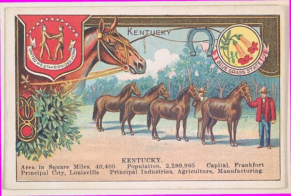 Kentucky, postcard from the Cards of States series (D22), issued by the Cushman Bread Company — Cushman Bread Company