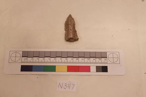 Stucco Fragment