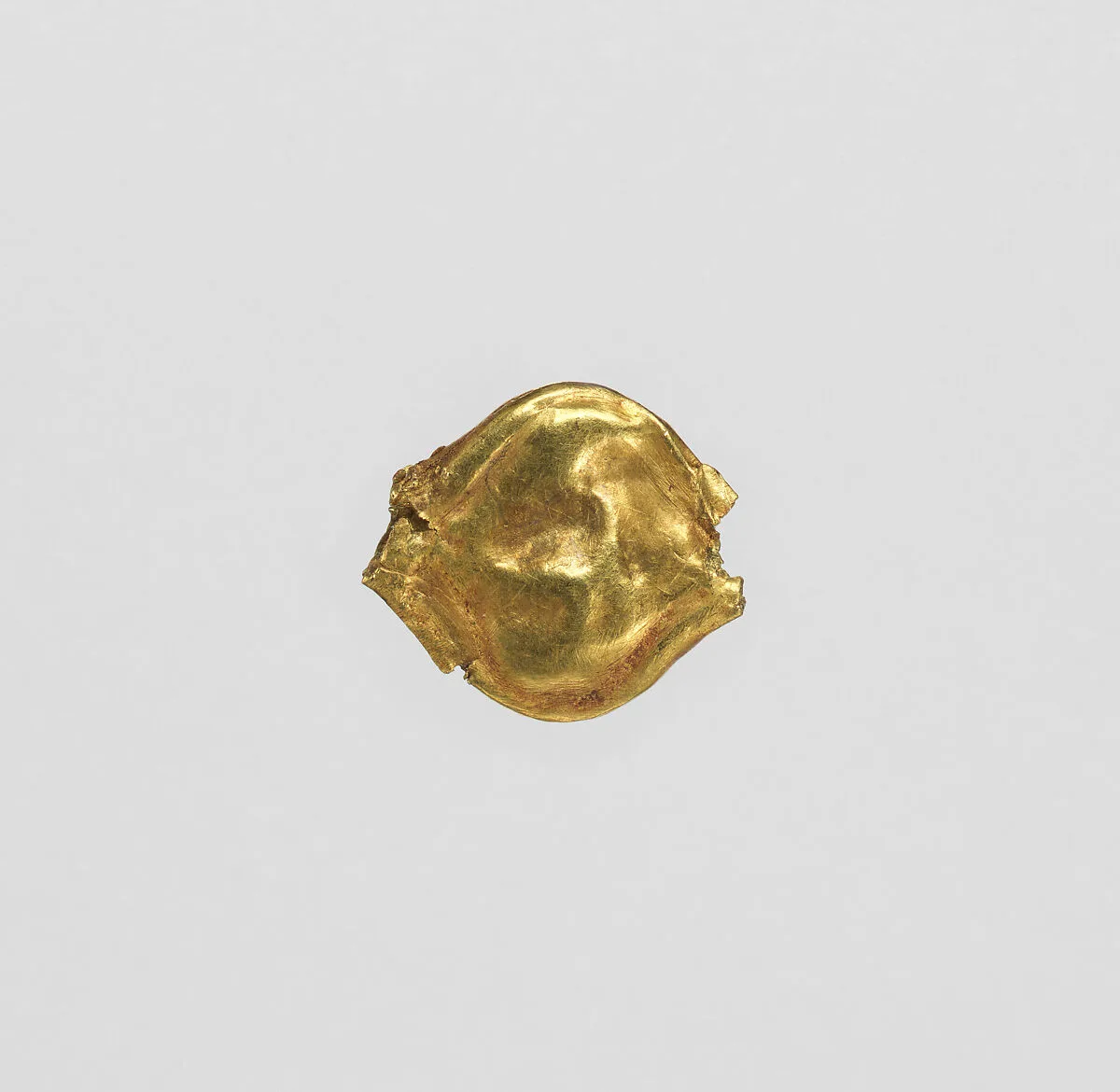 One acacia seed bead — Unknown