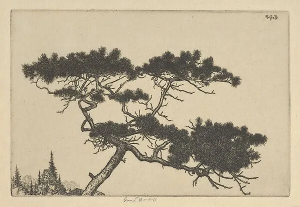 Crippled Pine — Ernest Haskell